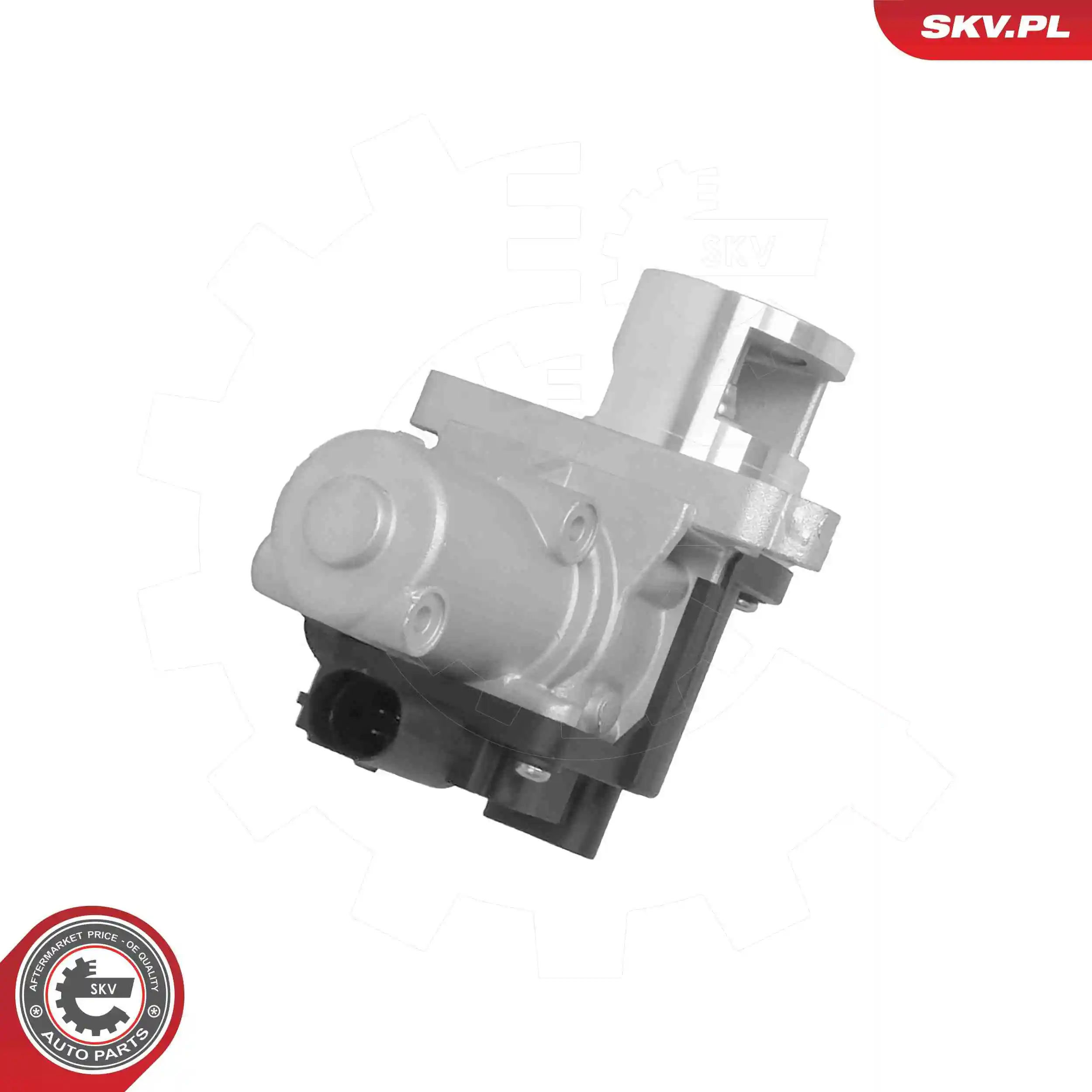 EGR Valve